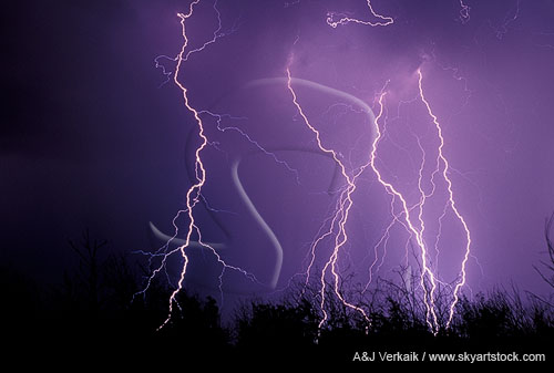 A get-together of lightning bolts with fine filament detail