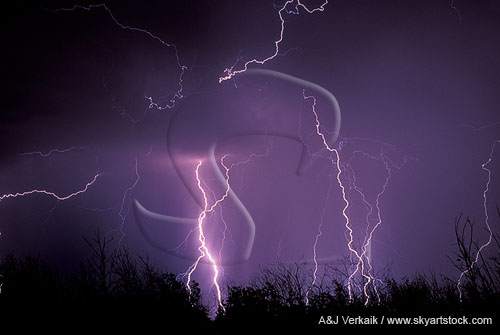 Erratic lightning filaments arc over cloud-to-ground bolts