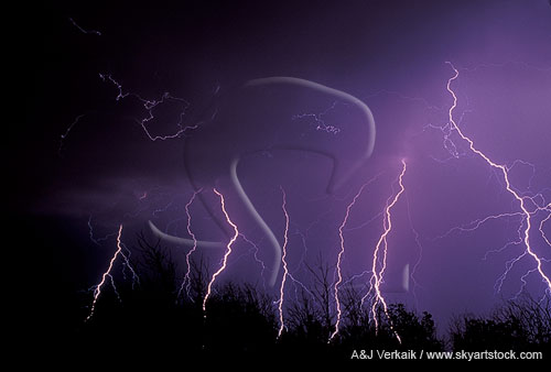 Multiple lightning strikes brighten the night sky