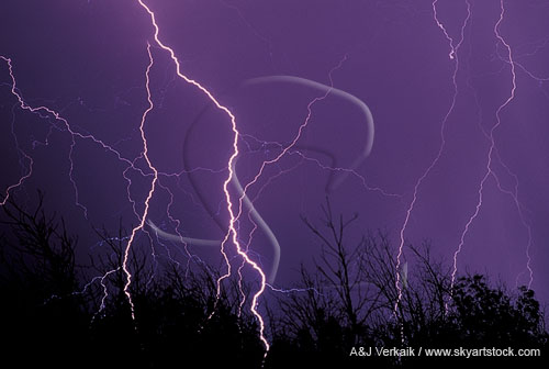 Close-up of finely etched lightning strikes here, there and everywhere