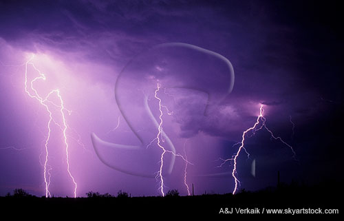 Lightning bolts shine through rain in a stormy sky