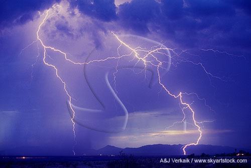 Untangling the mystery of a lightning path: a bizarre lightning flash