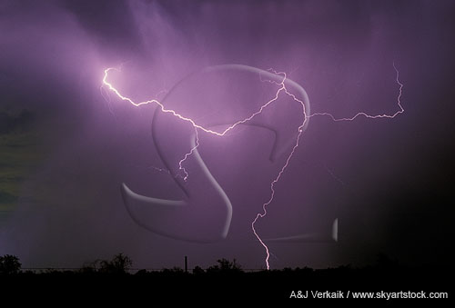 Unusual lightning: long branches and one ground strike channel 