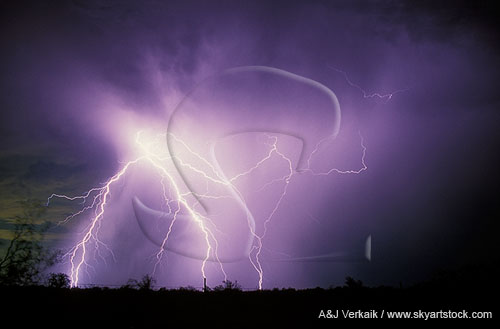 A brilliant explosion of lightning bolts illuminate a twilight shower