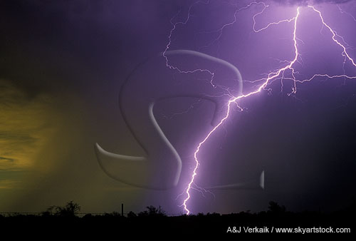 Close-up of a lightning strike in an eerie dusk light