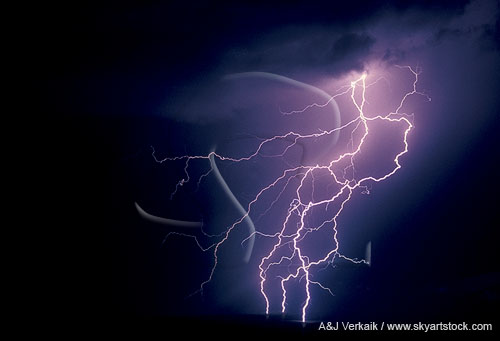 A single flash of lightning branching into an erratic tangle