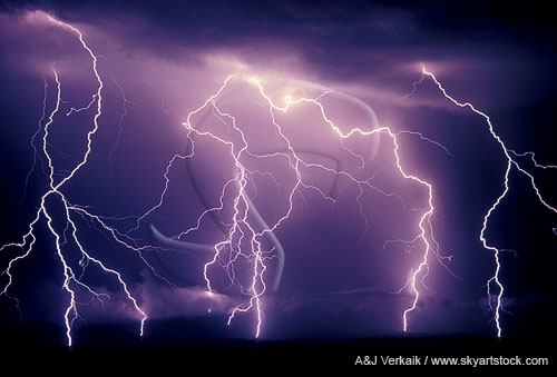 Highly electric branching cloud-to-ground lightning bolts 