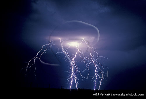 Cloud-to-ground lightning branches with cloud-to-air filaments
