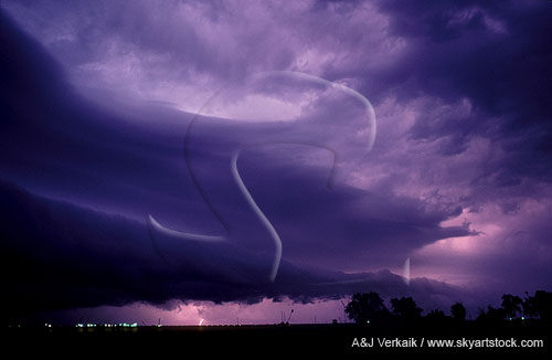 Intracloud lightning illuminates a shelf cloud at night