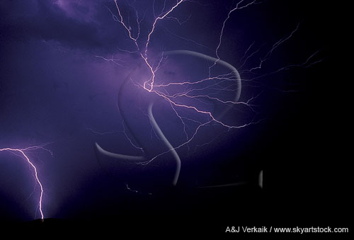 Fine spider lightning filaments in pocket of negative charge
