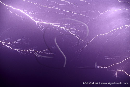 Anvil lightning with fine branches that converge in the center