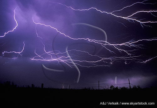 Anvil crawlers of branched lightning streamers, like flowing tentacles