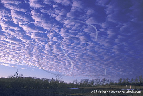 A high, shallow sheet of Altocumulus Floccus clouds