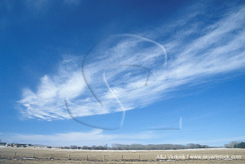 A fibrous sweep of Cirrus cloud