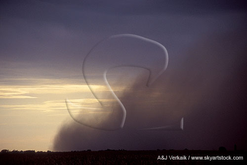Close view of a dust foot on the forward edge of a downburst
