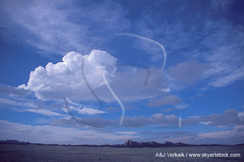 A puffy cloud jumps for joy in a lonely landscape