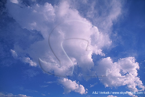 Sparkling white puffy clouds inspire creative dreaming