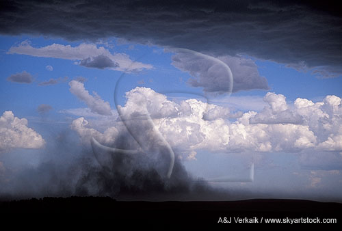 Thick dust lofted by strong straight-line winds