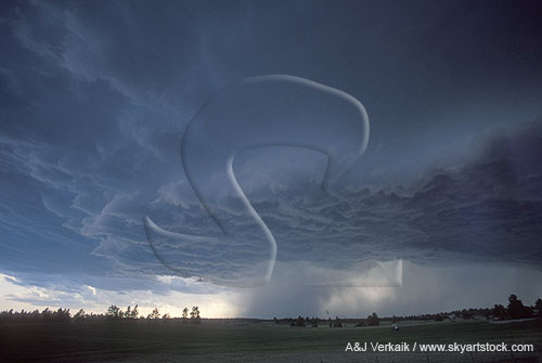 Thunderstorm cell propagation: air ahead of a storm converges 