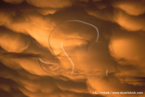 Sculpted and pendulous Mammatus cloud pouches