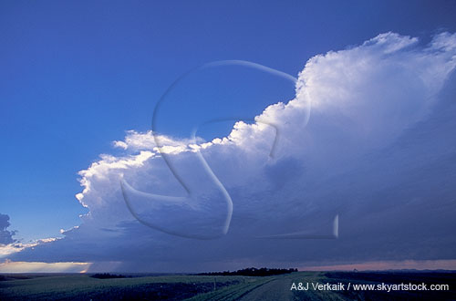 The history of a severe storm cloud is shown in its sculpted edge