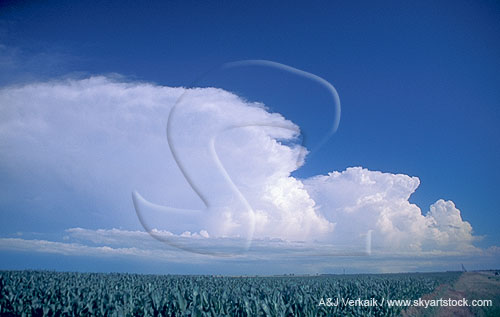 Cloud types, Cb: stages of growth of Cumulonimbus clouds