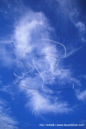 Wispy Cirrus clouds swirl in a joyous dance