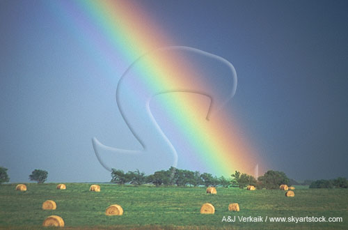Hay bales, like gold at the end of the rainbow