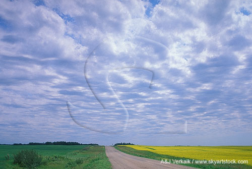Cloud types, Ac: typical Altocumulus clouds in a broken sheet