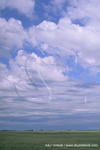 A quiet middle cloud layer undergoes slow change