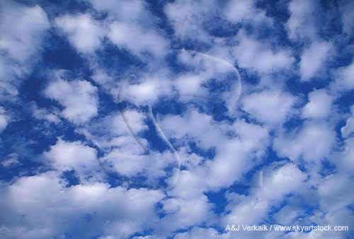 Puffy clouds drift carefree in a pristine sky