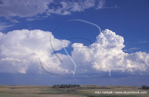 A boiling Towering Cumulus with nearby Cumulonimbus