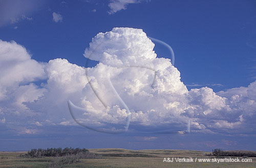 A Towering Cumulus cloud grows into a storm