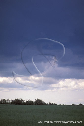 A long thin spaghetti funnel cloud trails from a Cumulus Congestus
