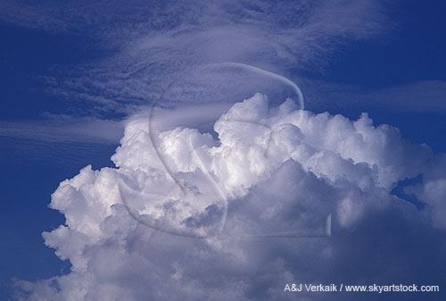 A cloud abstract with bubbling convection 