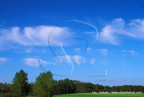 Cirrus cloud patches with ice crystals showering down