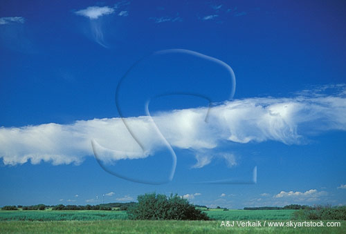 An unusual cloud line of fallstreaks, like Castellanus, but higher