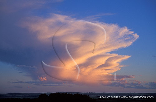 Anvil cloud with flanges drawn outward and forward by wind shear