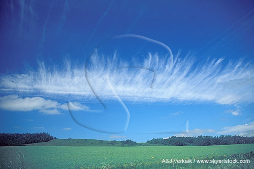 Cloud type, Ci: a band of Cirrus with fine hairs and filaments
