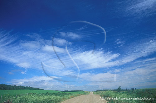 Streaks and puffs of cloud down a quiet country road