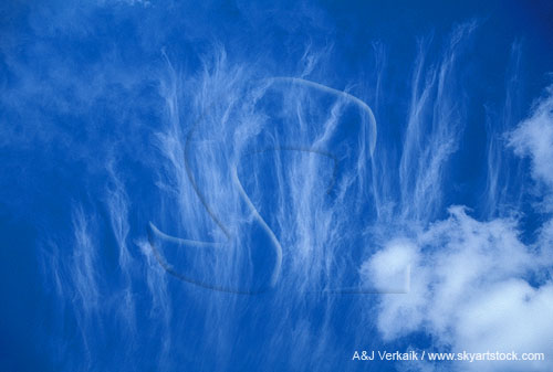 Hairy strands of Cirrus cloud (fallstreaks of ice crystals)