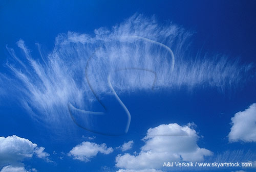 Vertical Cirrus streaks dare to be different in a sky of puffy clouds