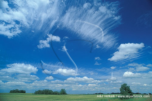 Excited Cirrus streaks cavort with carefree puffy clouds