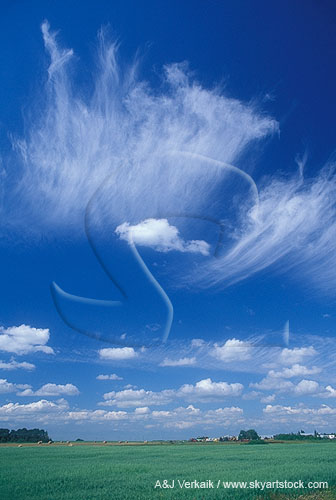 Joyful cloud puffs and streaks float in the sky 