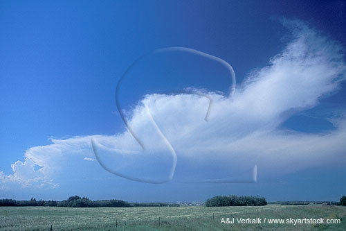 A dreamy plume of soft cloud with a distant Cumulonimbus