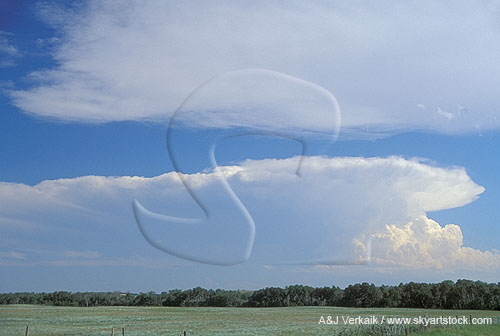 A band of smooth, soft cloud overlies a distant Cumulonimbus