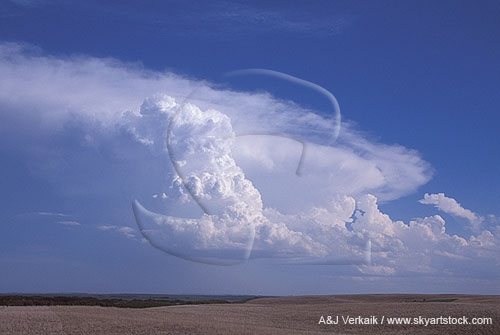 Cumulus Congestus tower on the outflow of a distant Cumulonimbus