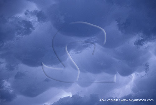 Abstract sky: pendulous pouches of smooth Mammatus
