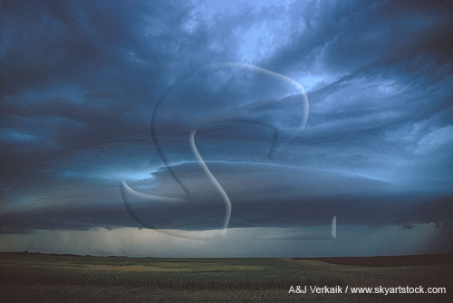 A threatening, disc-shaped low cloud (Arcus) in advance of a storm