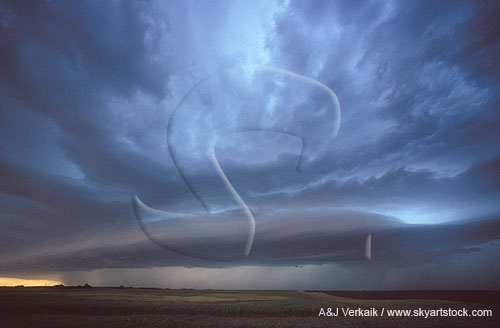 Multi-layered squall line with an Arcus on wind shift axis